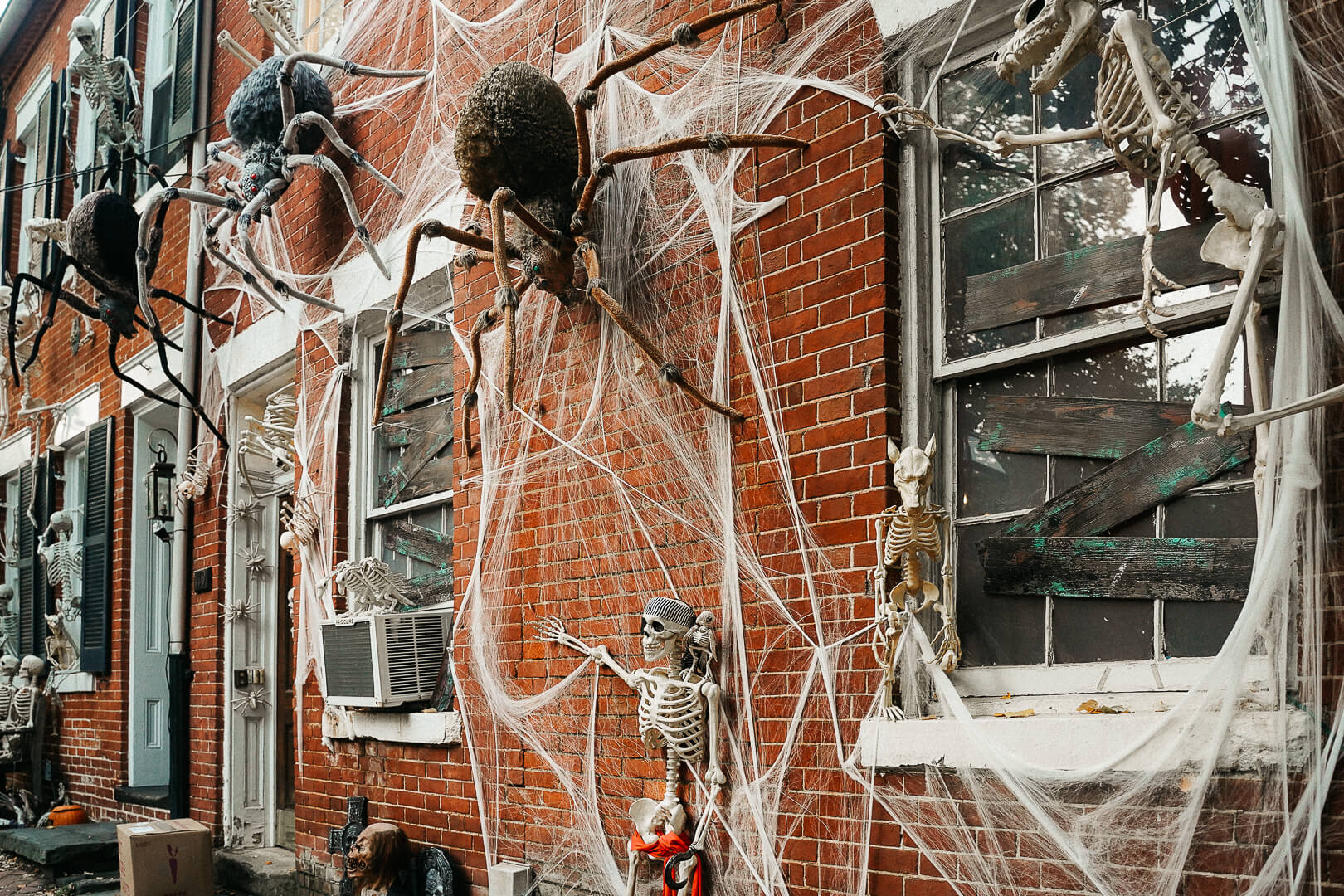 Eat Well, Explore Often The Best Halloween Street in Alexandria, VA